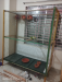 Bird Cage Pakhir khacha পাখির খাঁচা